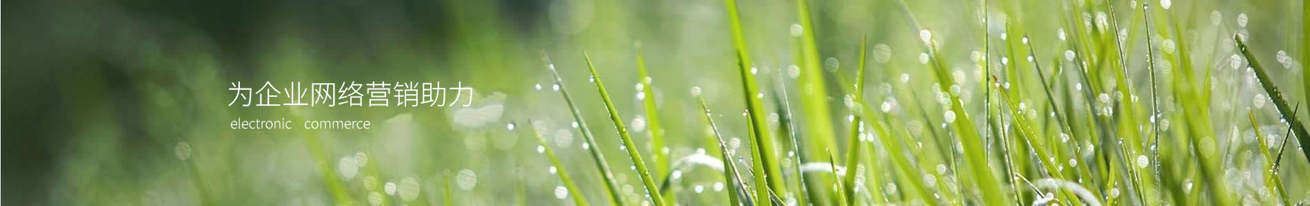 ֣ܵӿƼ޹˾